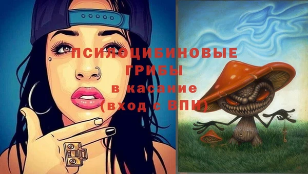 COCAINE Переславль-Залесский