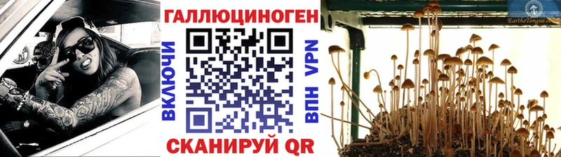 купить   Саки  Галлюциногенные грибы мухоморы 