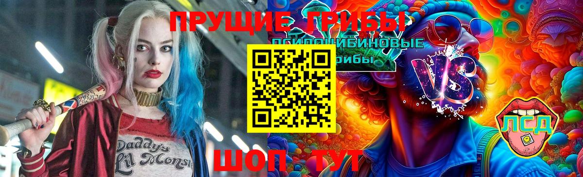 Галлюциногенные грибы Psilocybine cubensis Саки