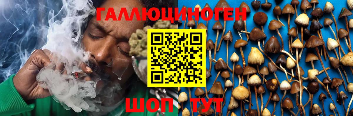 Псилоцибиновые грибы MAGIC MUSHROOMS  Вход с VPN  купить наркоту  Галлюциногенные грибы Psilocybine cubensis  Саки 