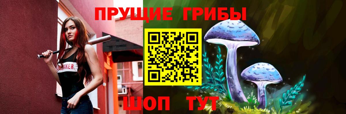 Псилоцибиновые грибы прущие грибы Саки