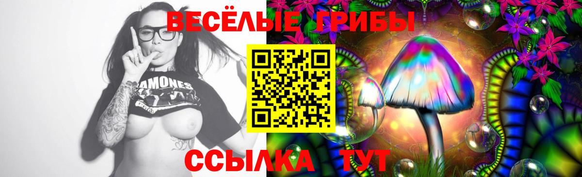 Галлюциногенные грибы прущие грибы  Саки 